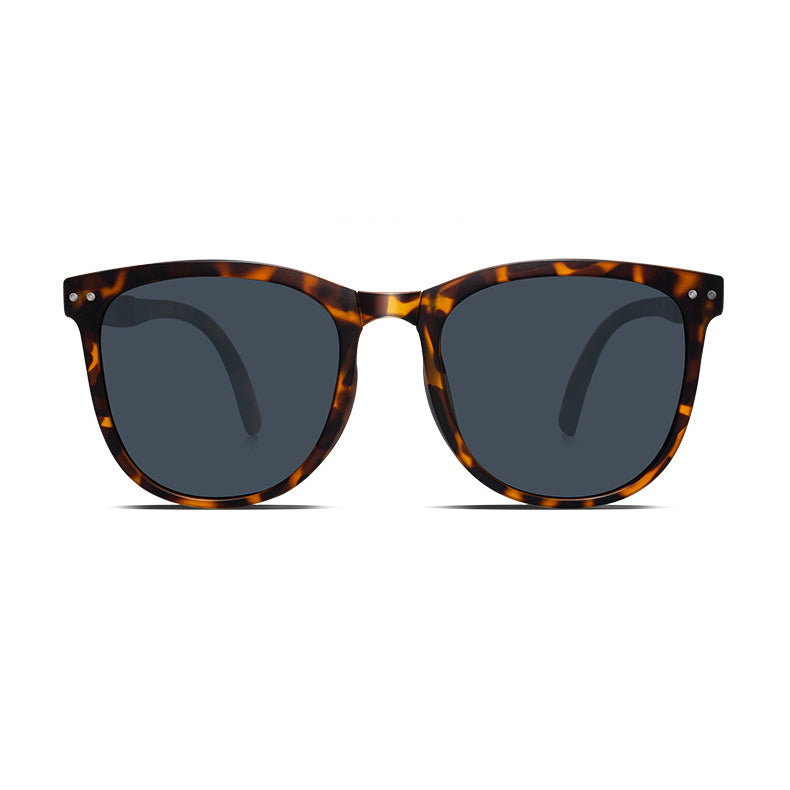 Archive Round Full-Rim Polarized Sunglasses